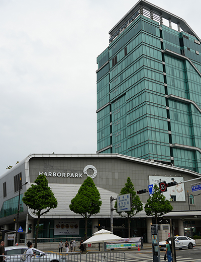 야숙 이미지